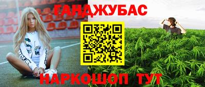 гашик Краснознаменск