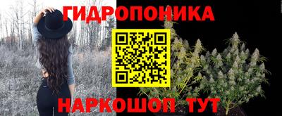 гашик Краснознаменск