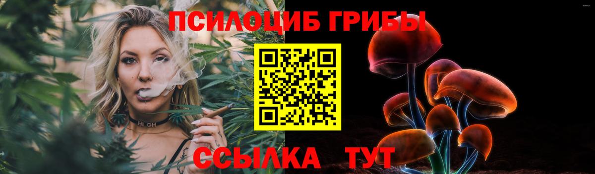 Псилоцибиновые грибы мицелий Кемерово